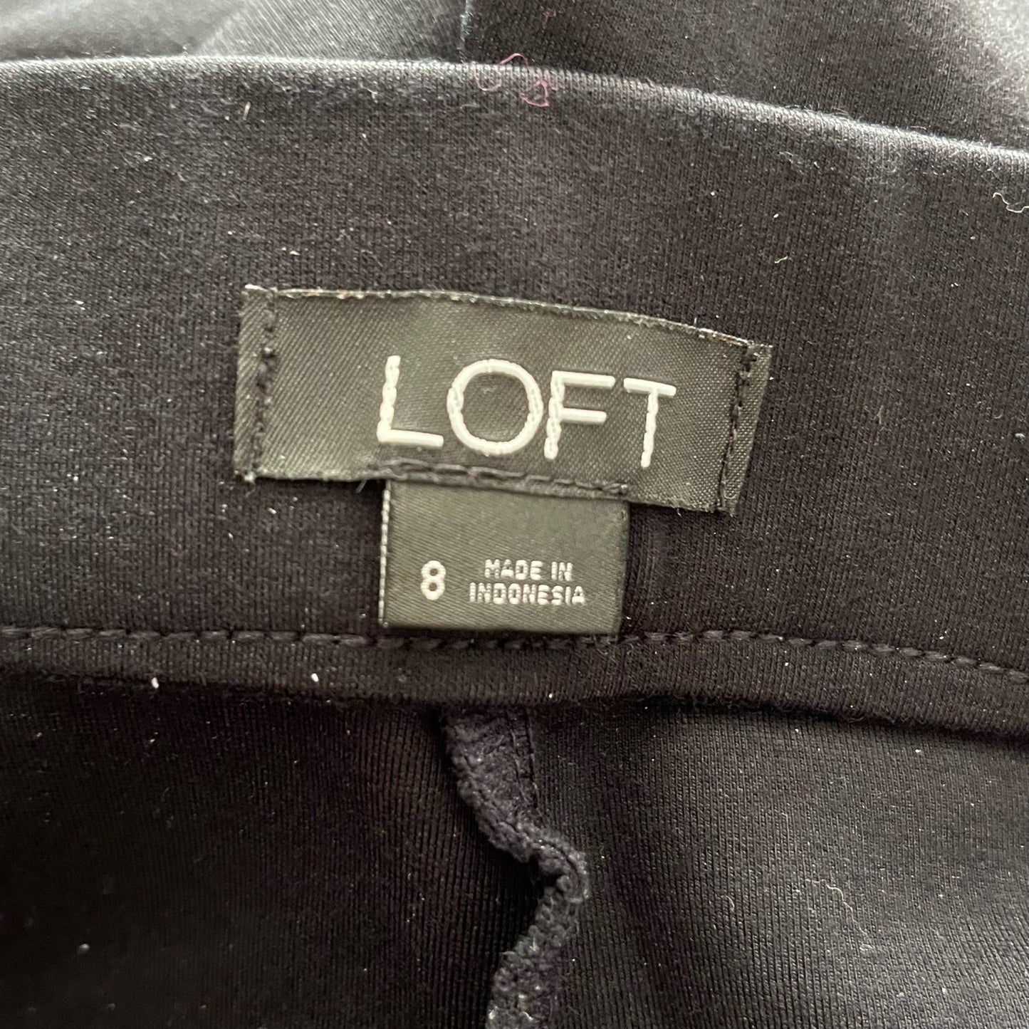 Ann Taylor LOFT Front-Seamed Pants - Size 8