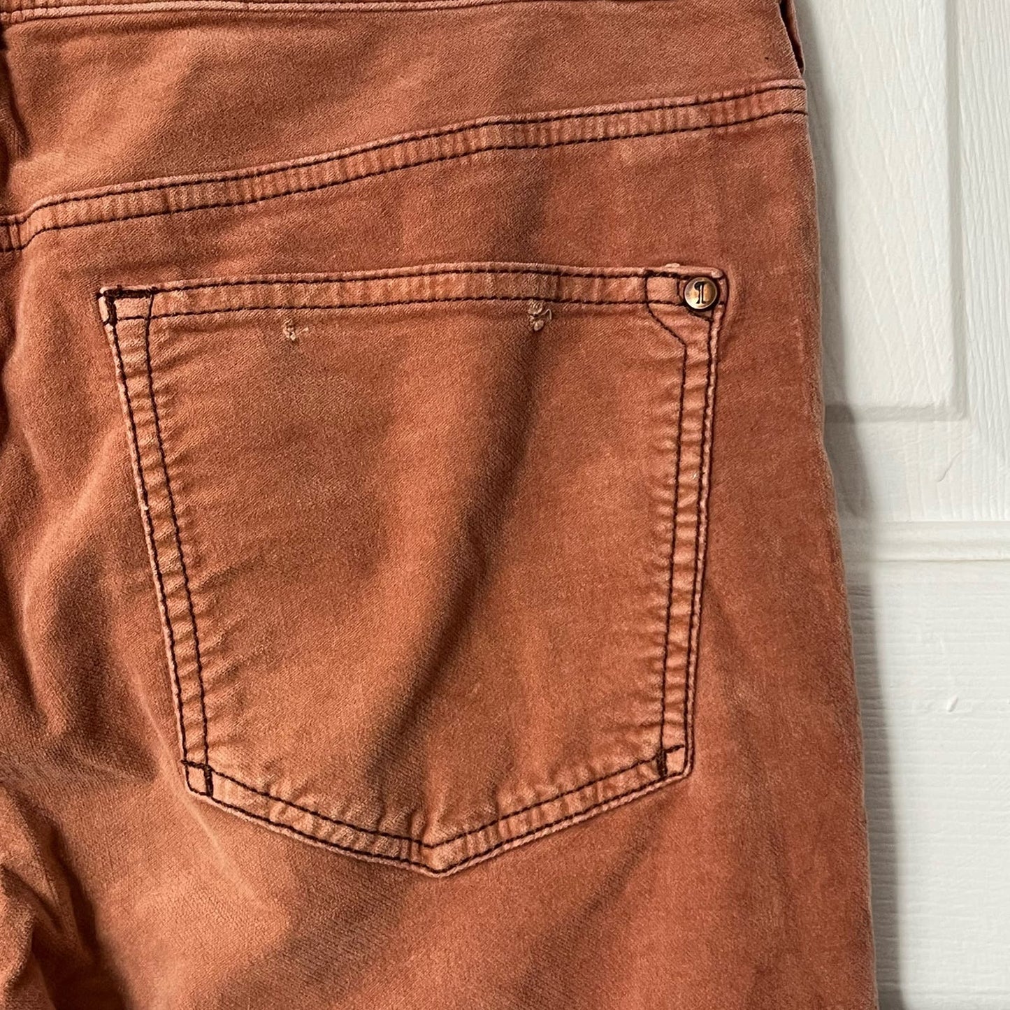 Pilcro and the Letterpress Velvet Finish Ankle Pants - Size UNKNOWN