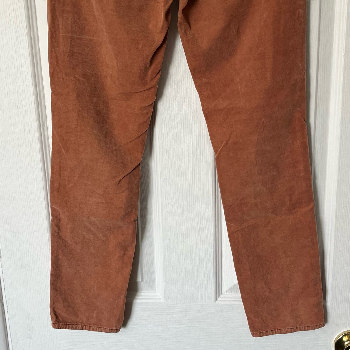 Pilcro and the Letterpress Velvet Finish Ankle Pants - Size UNKNOWN